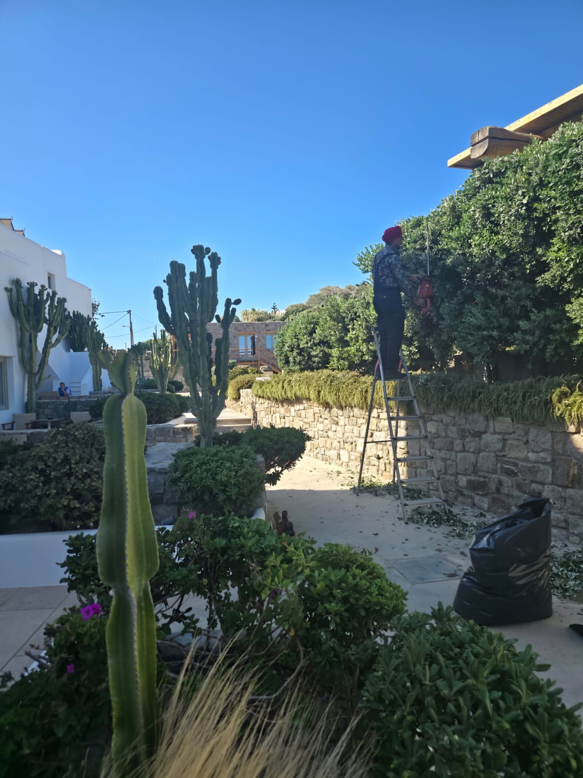 Garden Work